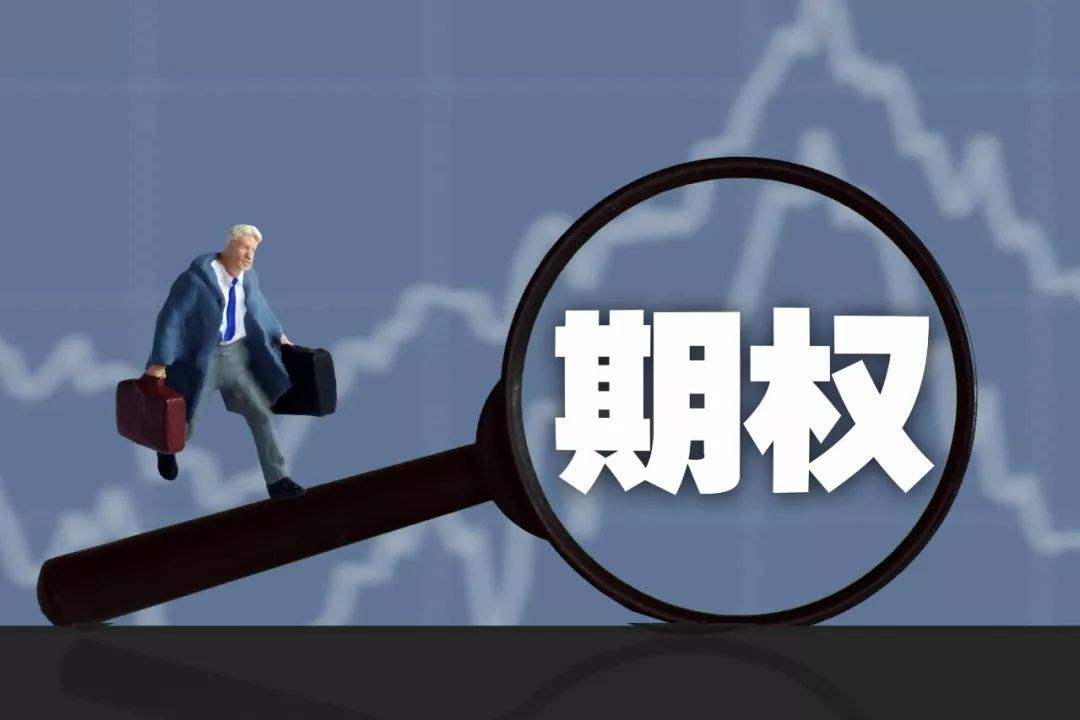什么是期权的买方和卖方 9136c3b65f2749009bf3d2d98296e423.jpeg