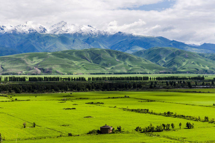 新疆旅游攻略（39）-新疆旅游景区景点关键字-新疆大草原