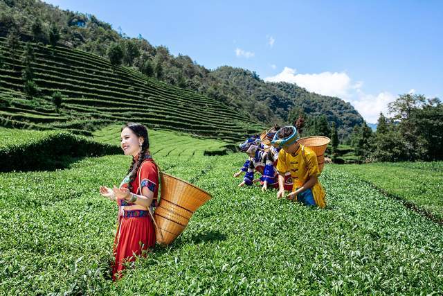 湖北土家族美女唱新歌:《茶山小幺妹》,听歌如品茗,让人上瘾_手机搜狐