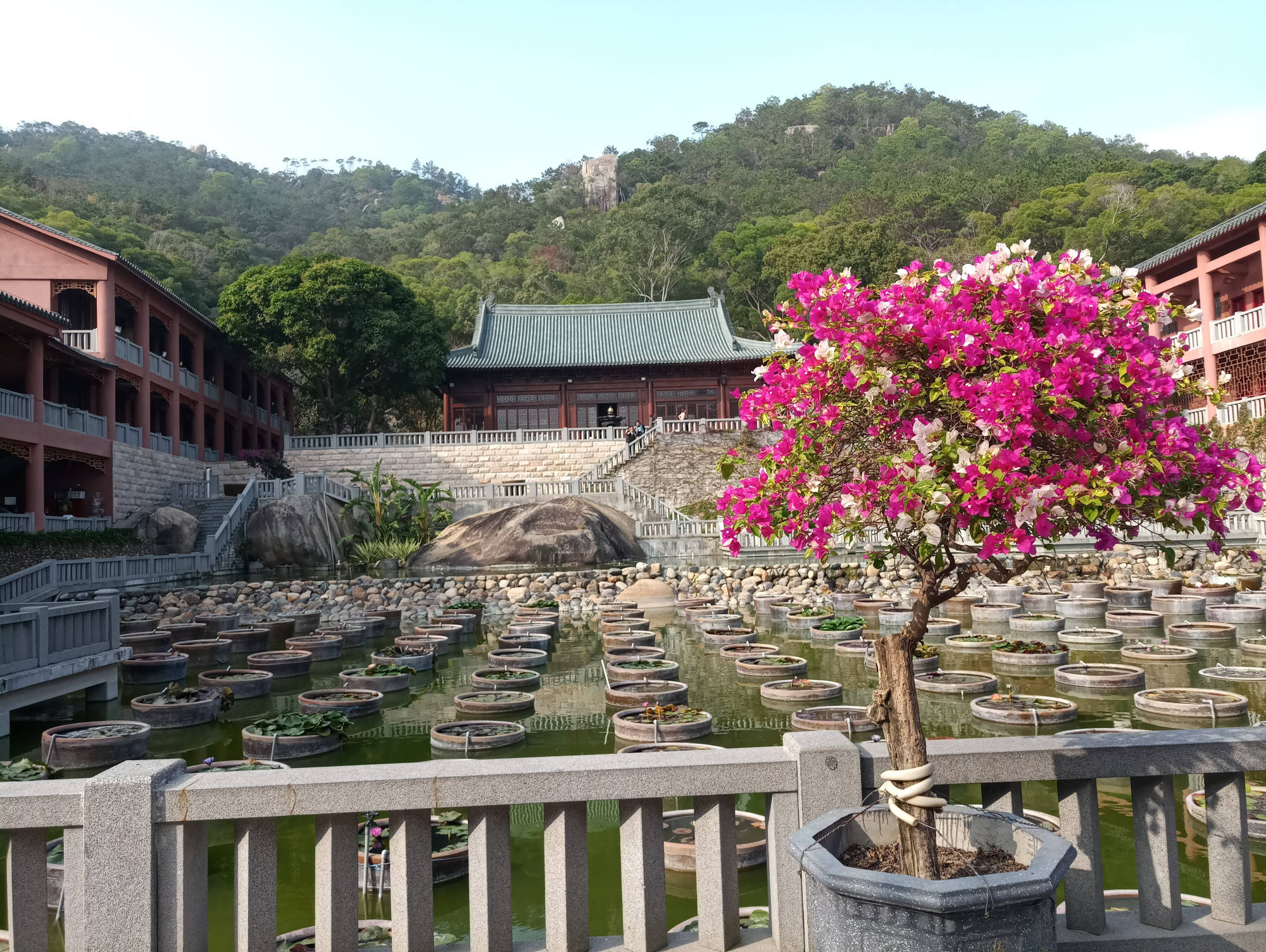 厦门海沧免费景点大全图片