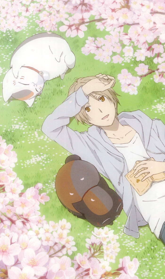 治愈系动漫之夏目友人帐