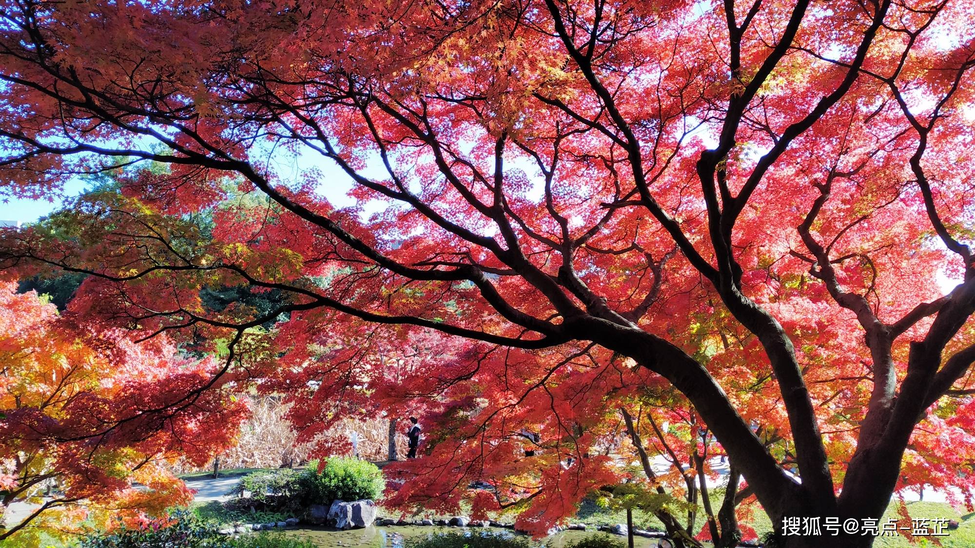 《米其林旅游指南》三星推荐,高松旅游最不能错过的栗林公园