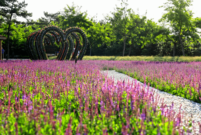 翔海森林小镇花海,林海,私家海滩入选央视中国影像方志!
