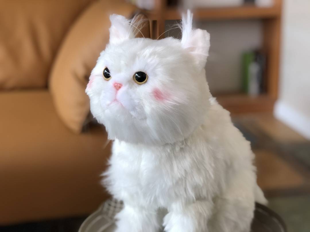 一只仿真猫是如何诞生的