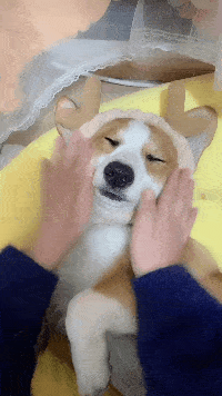 原创搞笑gif段子7我看你这个手相不怎么好必定有牢狱之灾