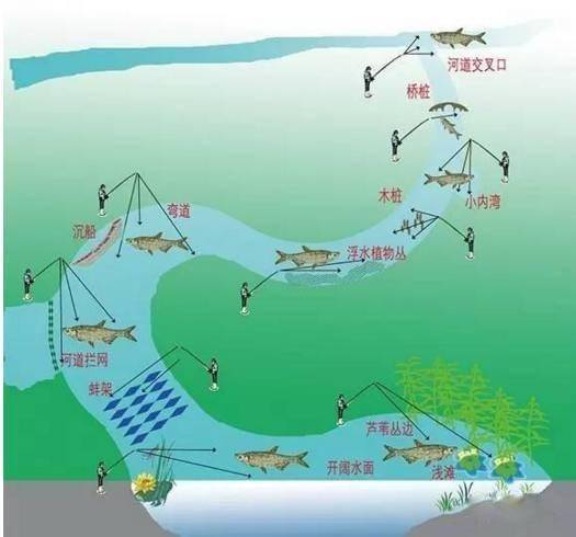 野河鱼道示意图图片