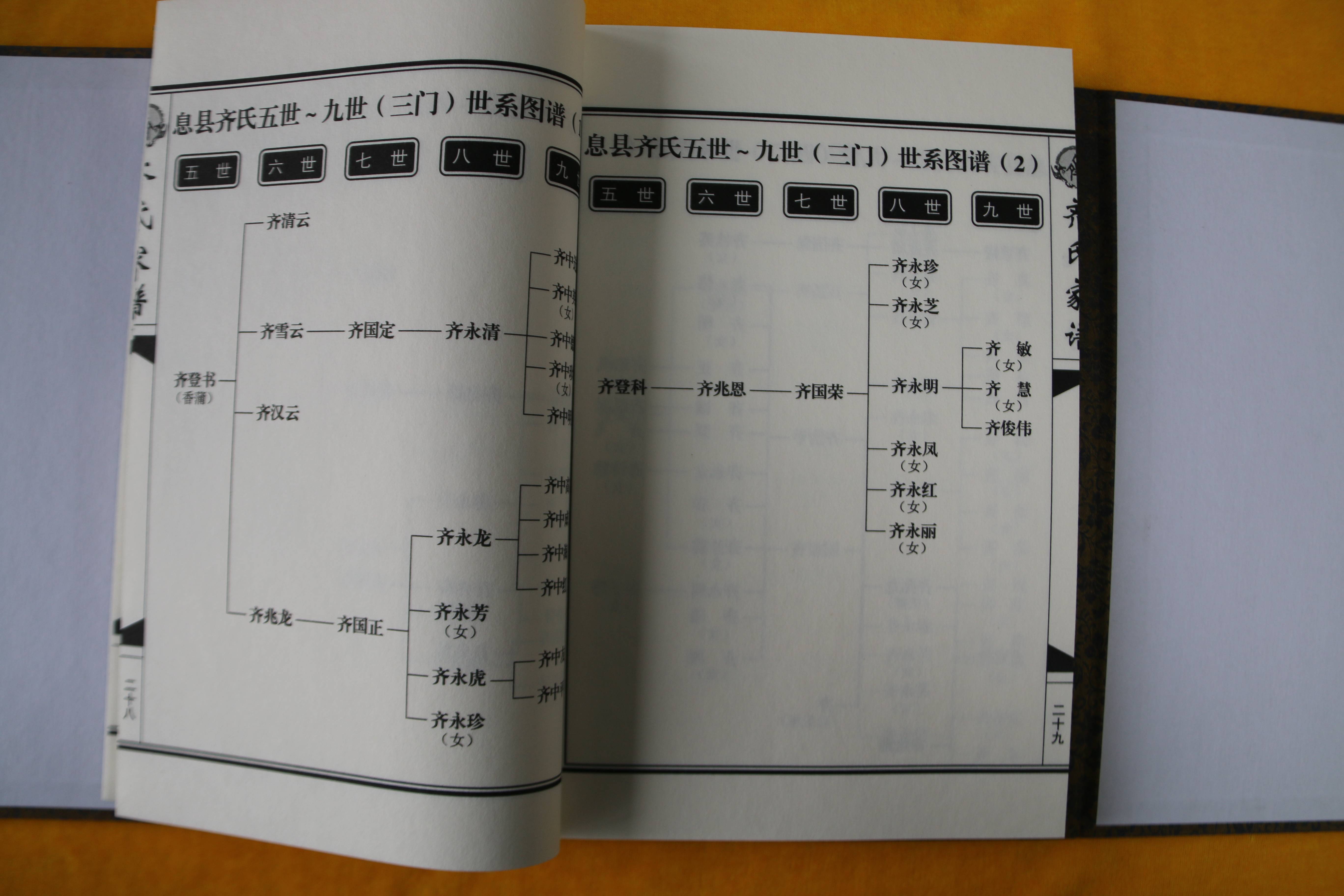 定襄县龙门村齐氏家谱图片