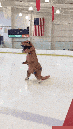 250_443竖版 竖屏gif 动态图 动图