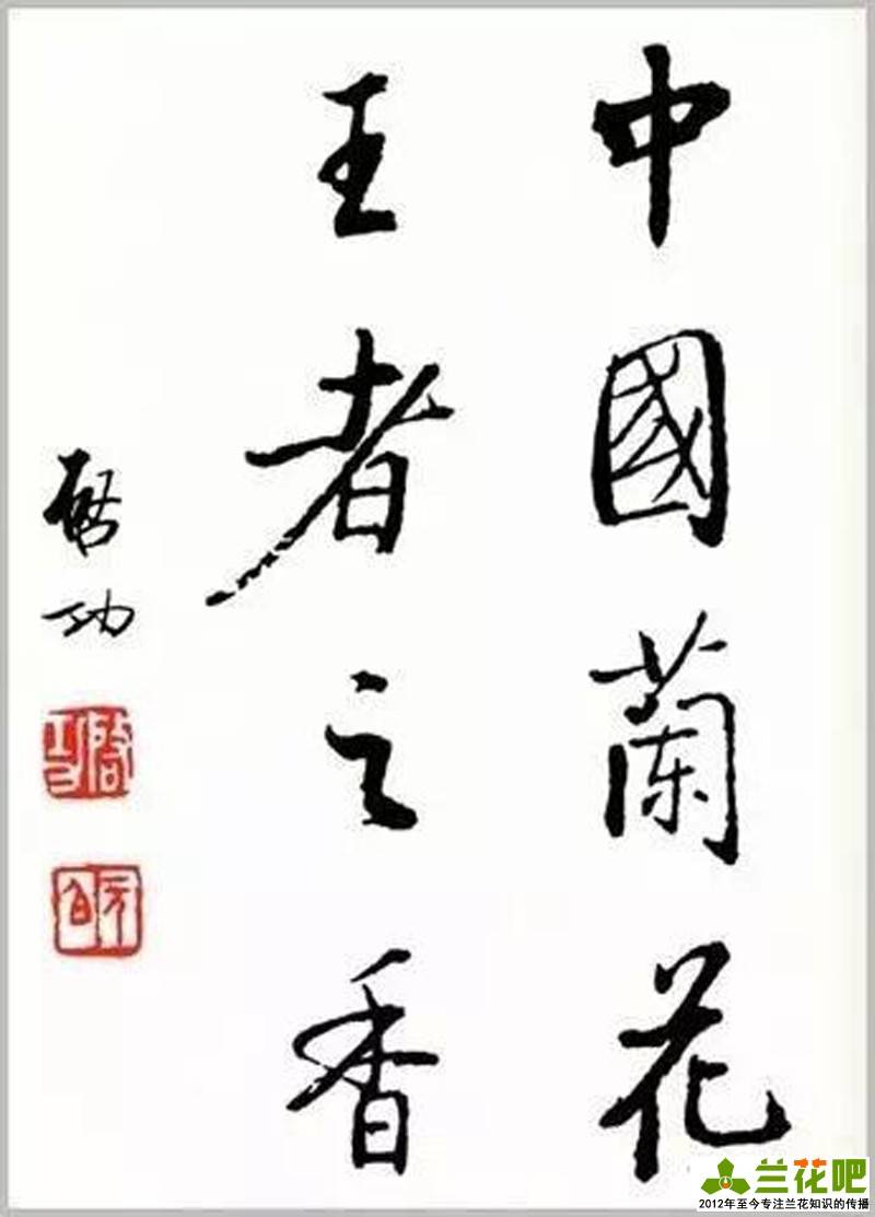 2020年总结,兰事继续,我仍是我