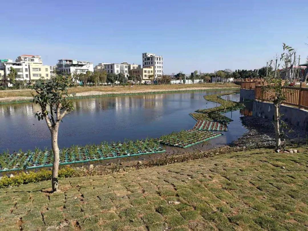 龍湖區再添一處生態文化公園