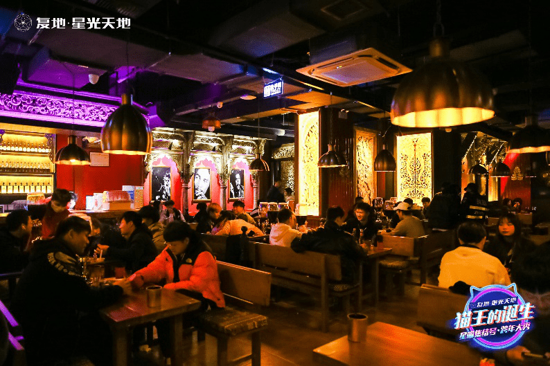 夜喵聚集今夜无人入眠