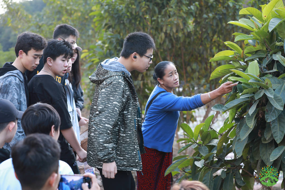 我们耗时两年，打造了中国最具国际范儿的热带雨林保护自然教育与研学产品