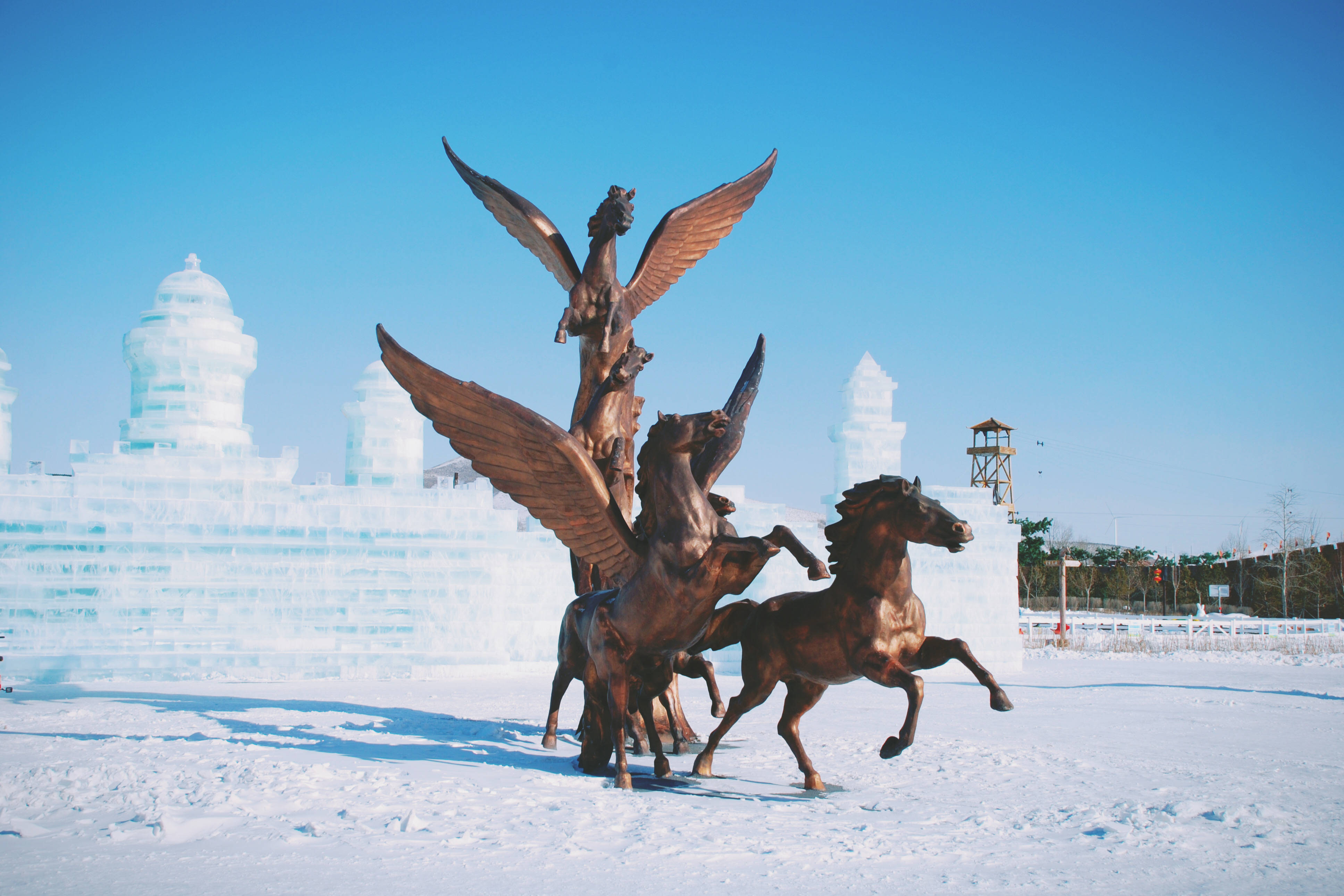 越冷越嗨中国马镇旅游度假区冰火节赏雪玩雪看烟花触摸马文化