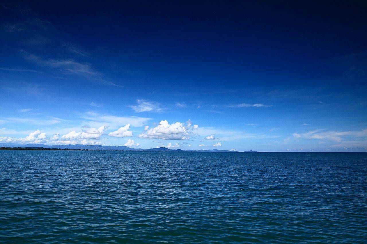 海口我们来啦,椰风海树美景加美食攻略