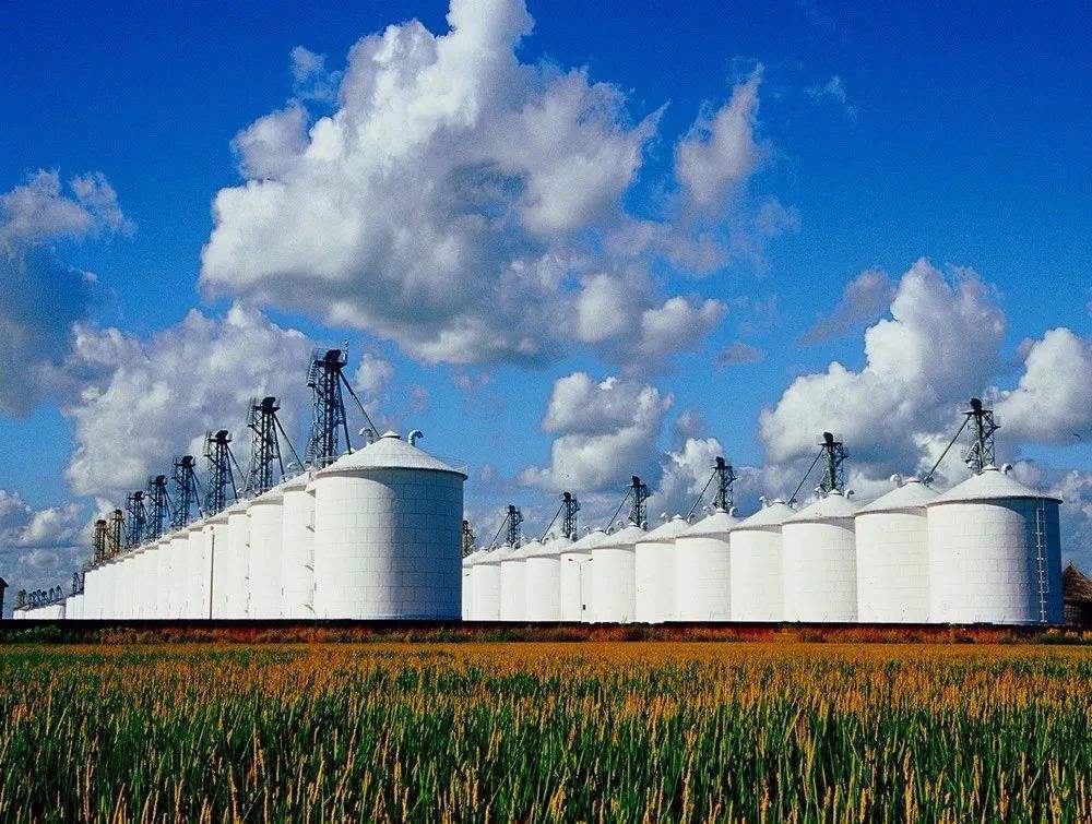 采用大型供气系统进行粮库集中供气,采用粮仓co2浓度自动监测系统