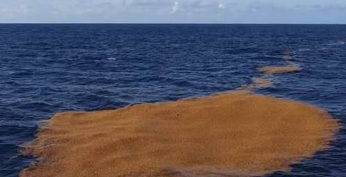 全球最清澈的海，可见度达72米，为何会是船只的死亡之地？