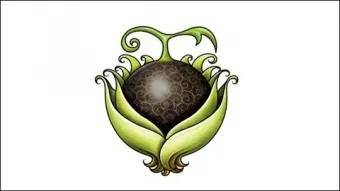 海贼王中的这些恶魔果实,你都认识吗?