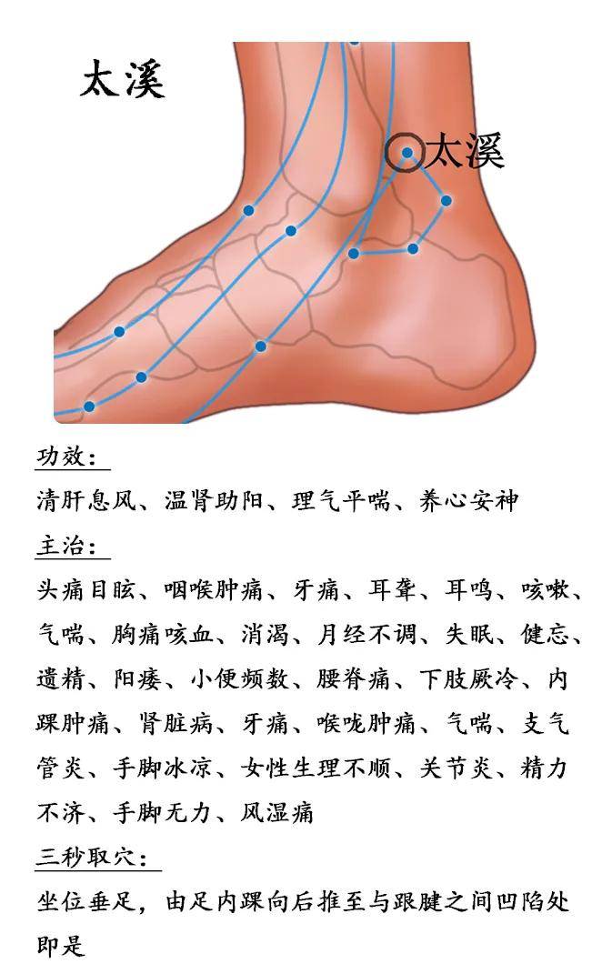 三阴交穴取穴