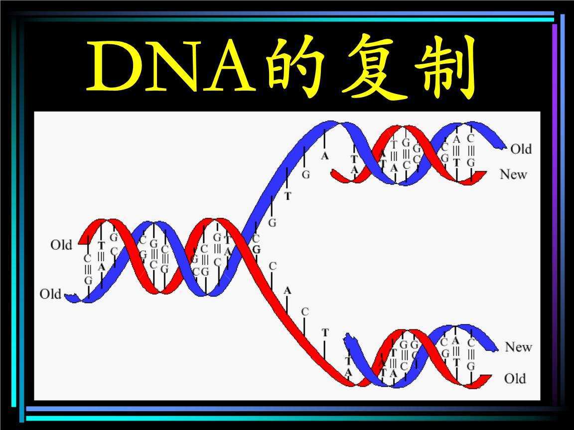 人类的极限寿命是多少岁为什么说长生不老反而会毁灭人类