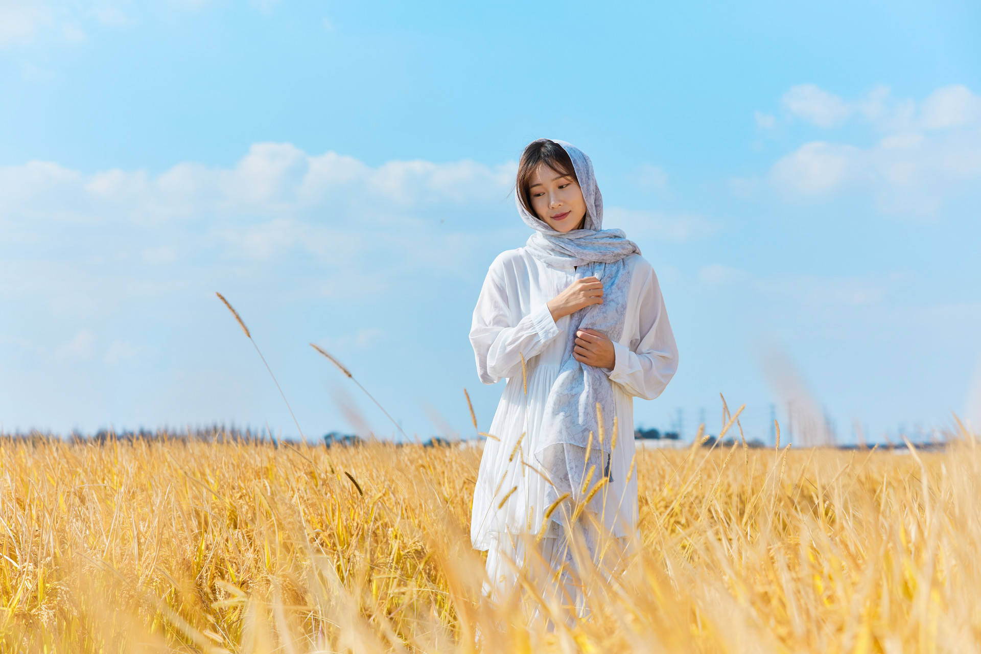 "哥,兄弟如手足,让嫂子借我20万买房子""弟,我离婚了"!_秦娟