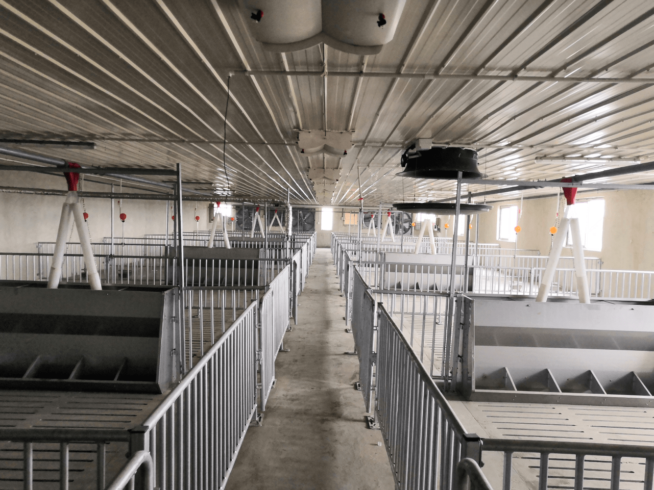 养猪规模化大势所趋规模化猪场需要哪些养猪设备栏位系统篇