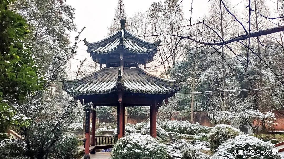 成都这盘雪到底有多大惊艳全川看看玉垒中学的雪景最美啦