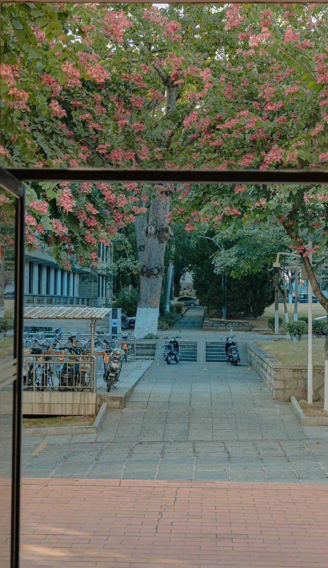 建国大业人民的名义匆匆那年这些电影的校园取景地在哪些大学