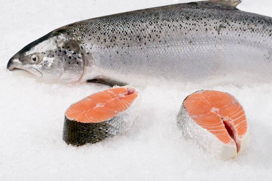 2020年挪威三文鱼出口额创近十年来第二高