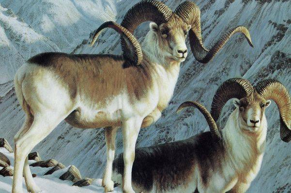 1967年53岁未羊一生宿命:后半生的财神爷,越老越有福!