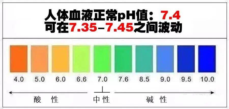 人体血液ph图片