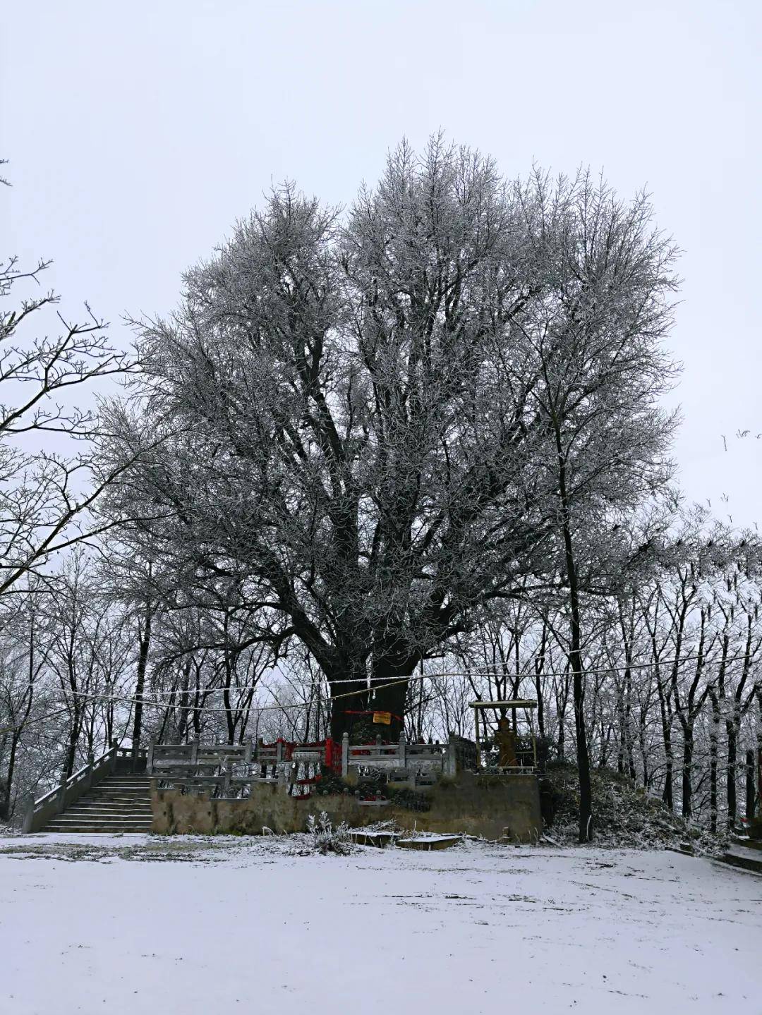 贵州贵阳:息烽县西望山凤池寺2021雪景_手机搜狐网