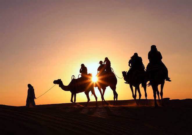 沙漠魅影——撒哈拉“大沙海”
