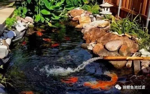 一文告诉你庭院水景设计的花式玩法_鱼池