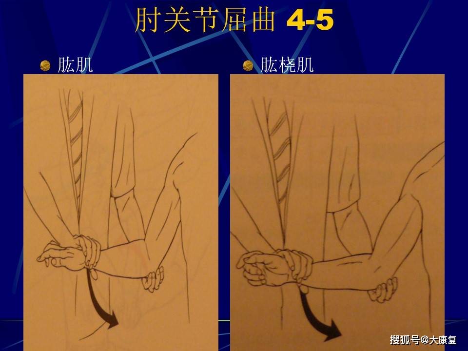 徒手肌力检查2肩胛带及上肢