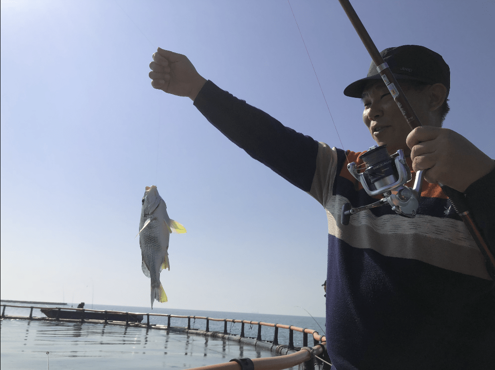 钓鱼人有多疯狂?七旬老人为体验海钓,从上海横飞千里到湛江渔村