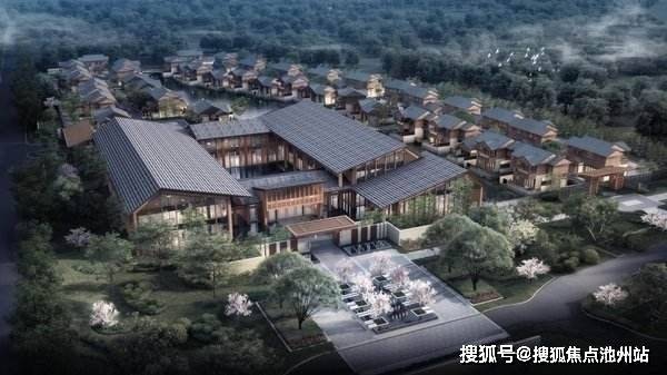 樱花什么价格