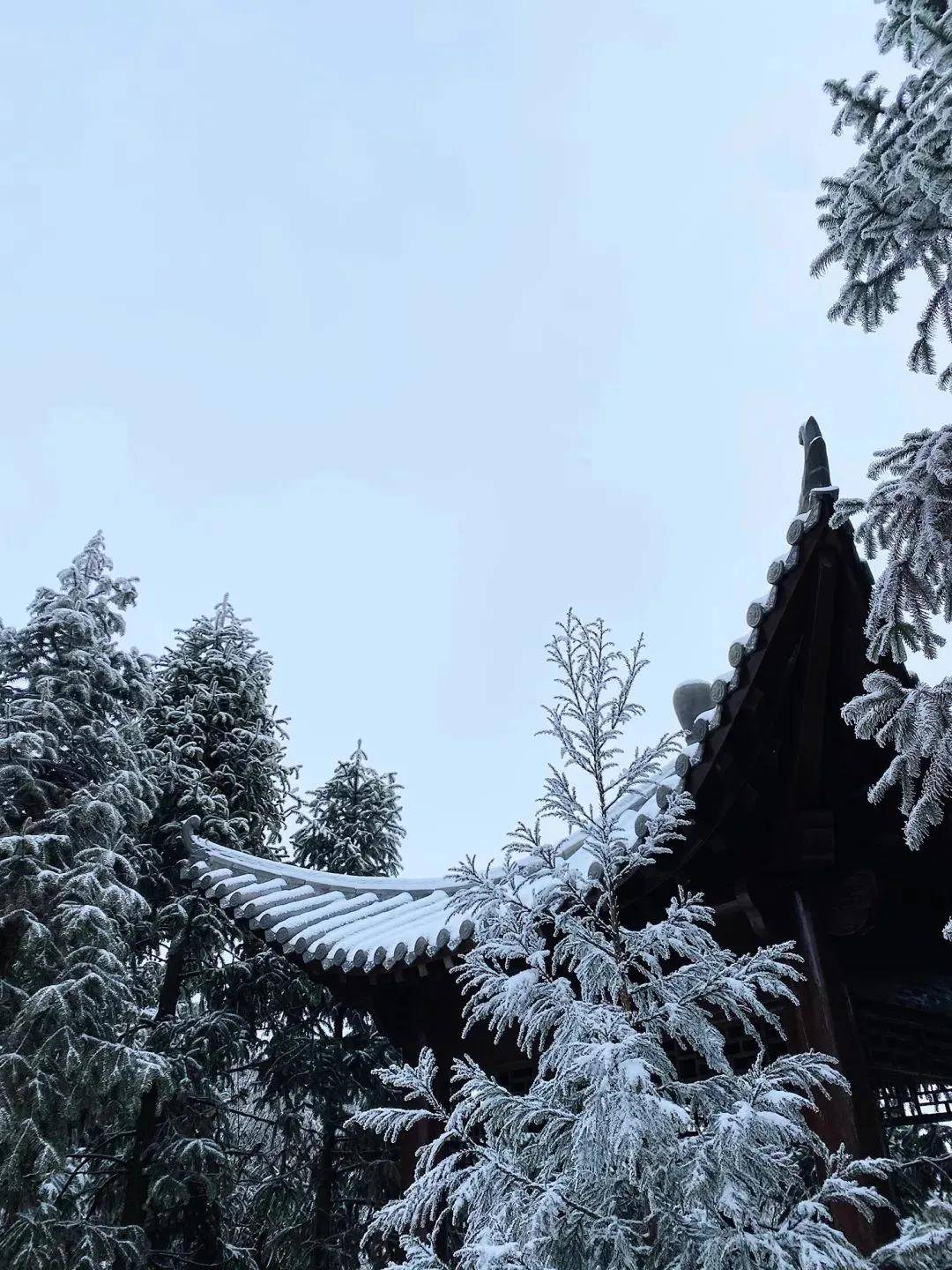 唯有在冬天才能体会这种壮阔和豁达的感觉千里冰封万里雪飘冬天登山