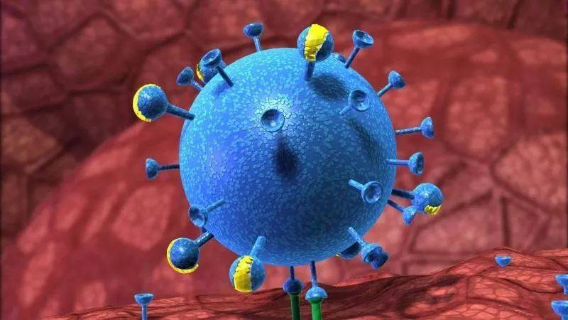 尼帕病毒威胁亚洲_手机搜狐网