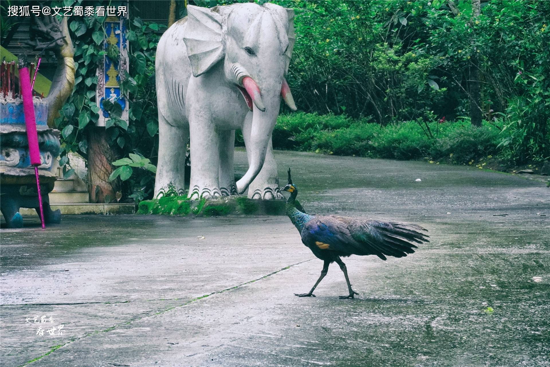 云南最适合过冬养老的地方也许是小城瑞丽，跟版纳一样温暖美丽