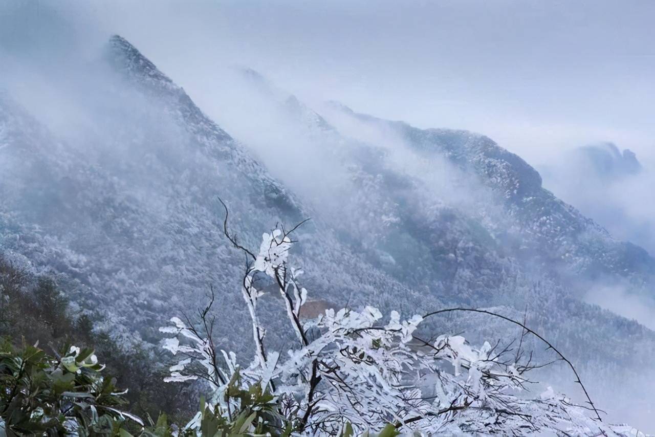 一池瘦水,千山暮雪,既见证了岁月的沧桑,亦寄托了现世的情意.