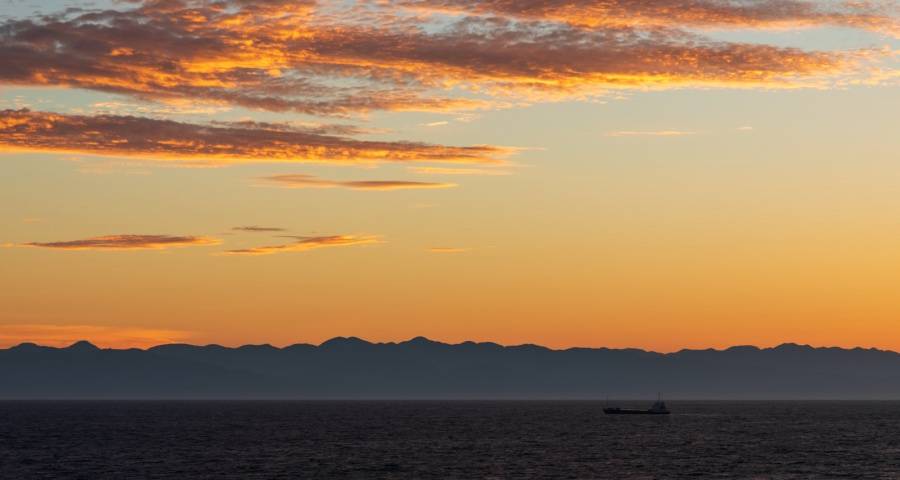 2020直播带货火了！2021家电服务工程师能批量带货吗？-家电圈官网