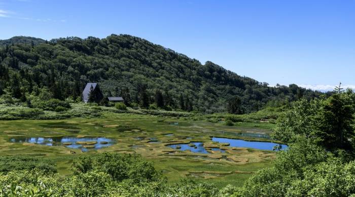 家电制造与芯片创新的科技化融合，在格兰仕身上找到了新答案！-家电圈官网