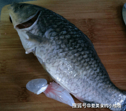 怎样快速去除鱼鳞 34544bc3630142e6b13f9aaad002a7ea.png