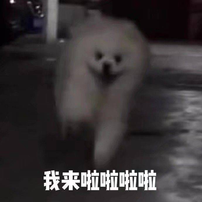 气垫碎了怎么办