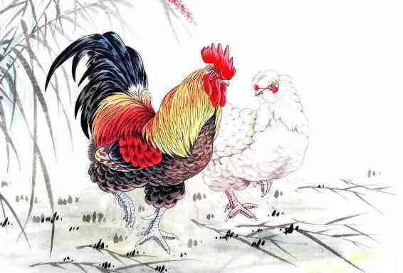 “眉下添眉指打一个最佳生肖，词语解释谜底释义落实”