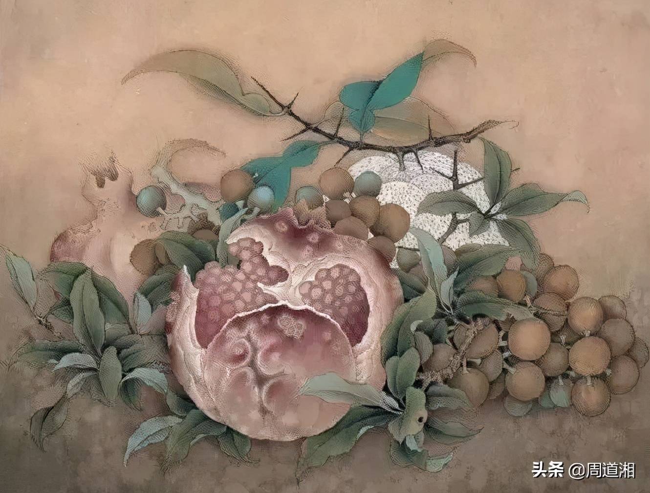 图文教程工笔画临宋石榴吉祥多子图绘画步骤解析