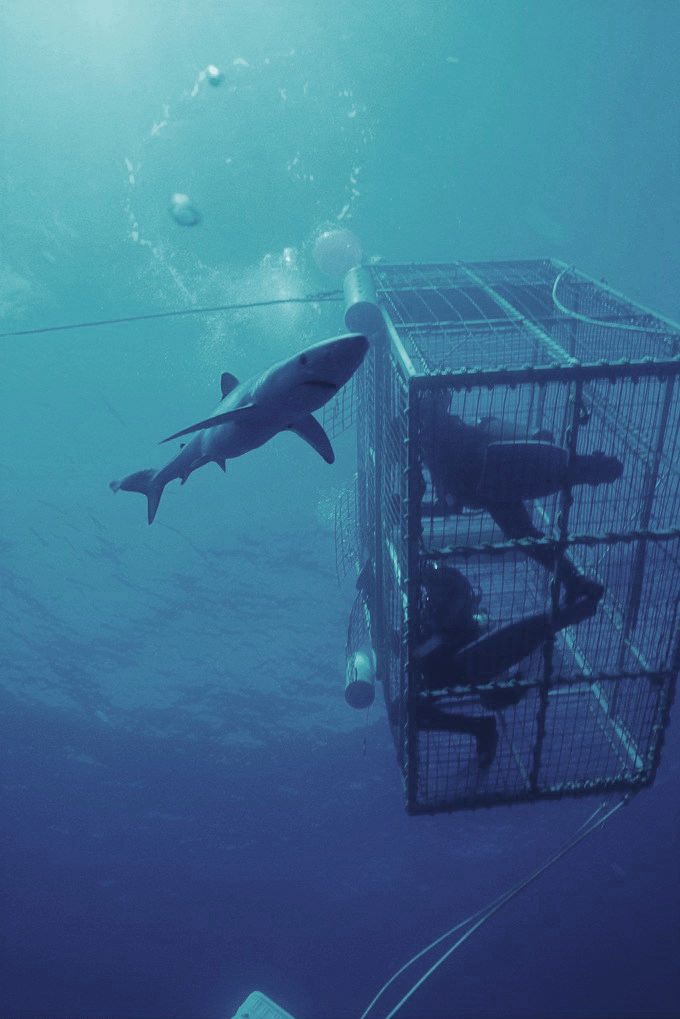 飓风排名_飓风战魂最强陀螺排名