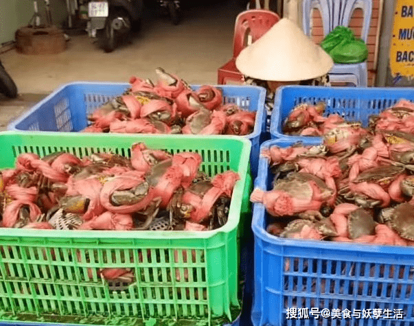 去越南旅游碰到卖青蟹，1斤5元买了6斤，吃着才发现“被坑了”