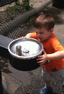 图片[1]-GIF搞笑段子：孩子，你都没对准水口，怎么能喝到水吗？-妖次元