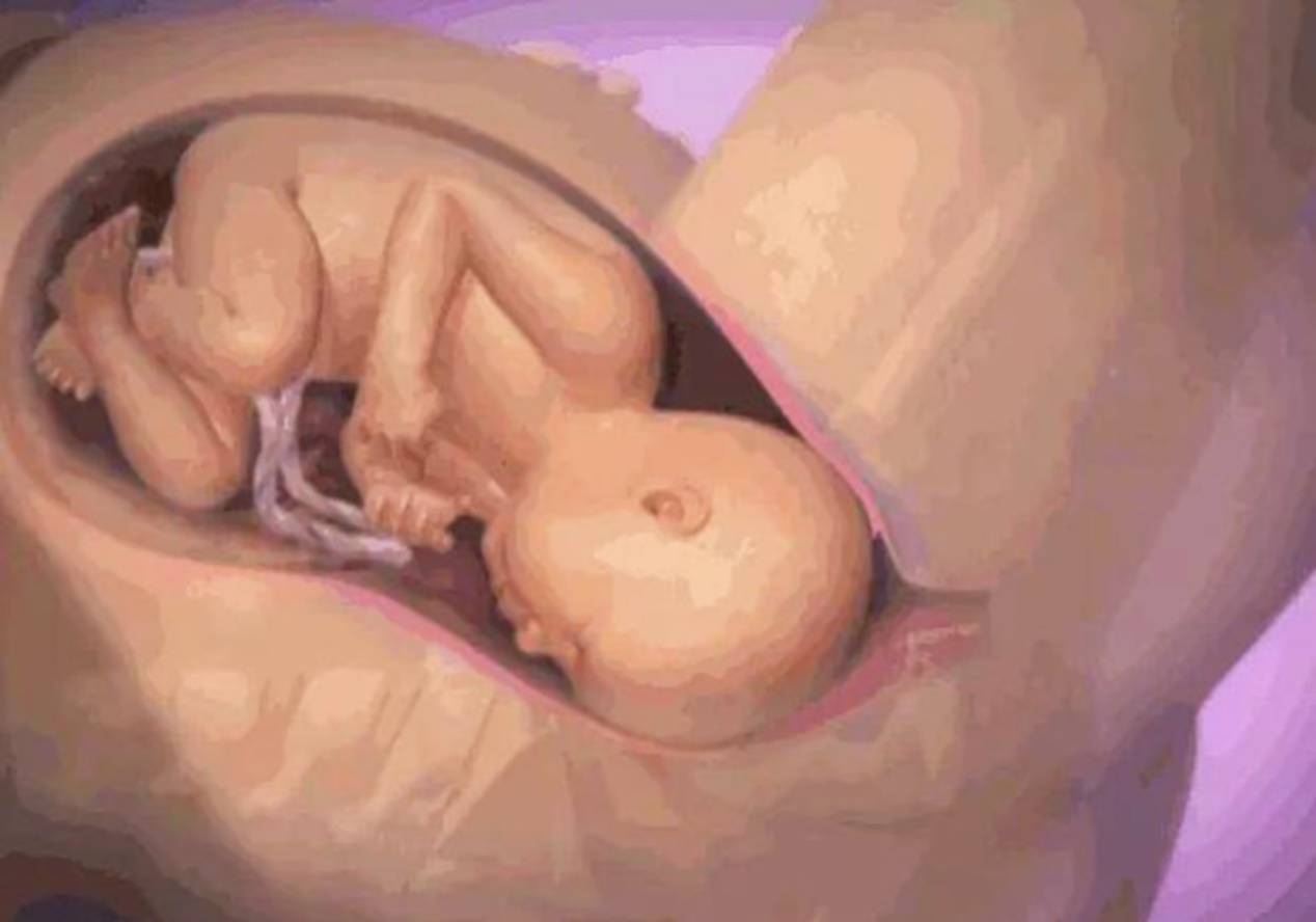 3a5e3387d7f54d6c9cd0f9e0e6ff6eaa.jpeg